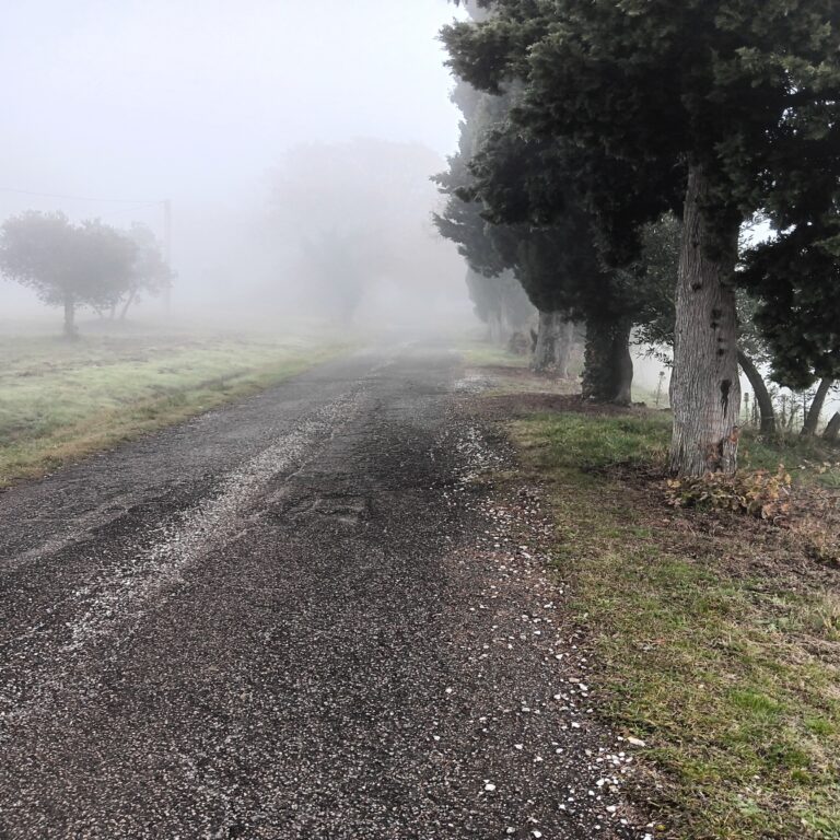 Con Giovanni Papini nella nebbia